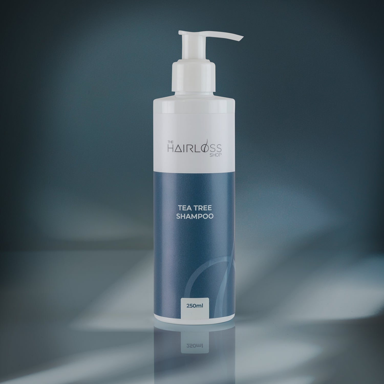 Collection of  in a gallery layout